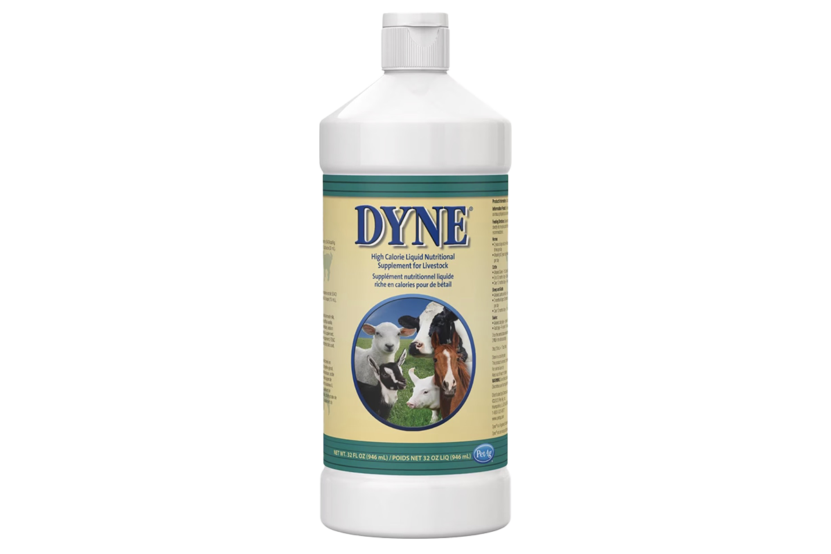 [Dyne] High-Calorie Supplement Arrives in Japan