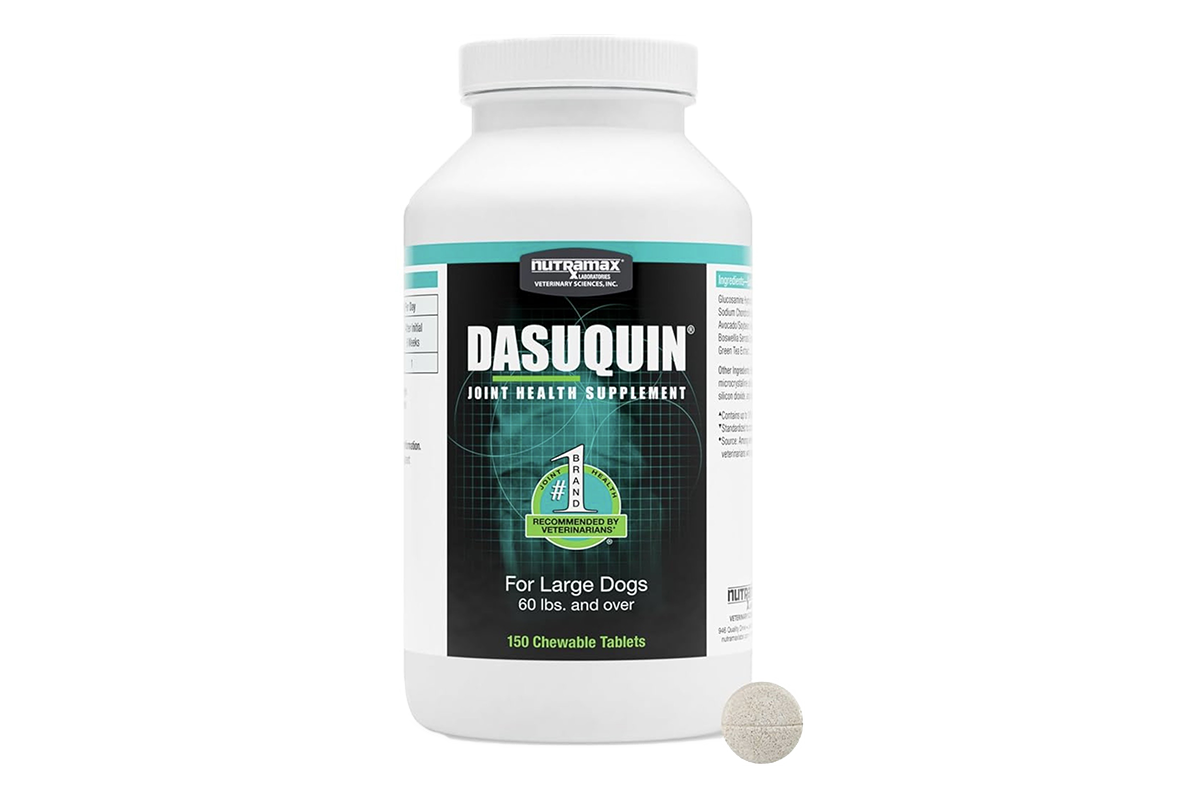 [DASUQUIN]