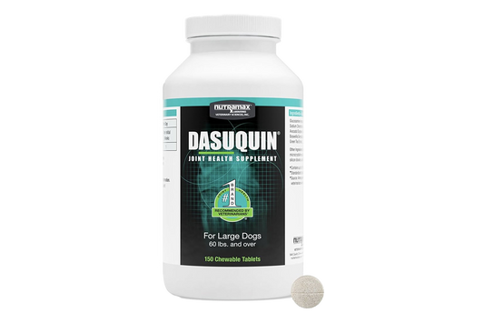 [DASUQUIN]