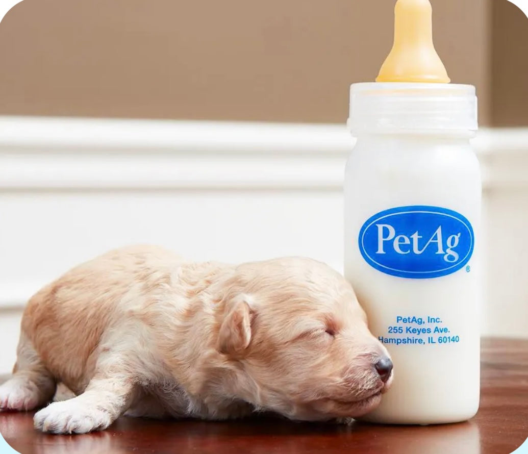 【Esbilac】High-Nutrition Dog Milk
