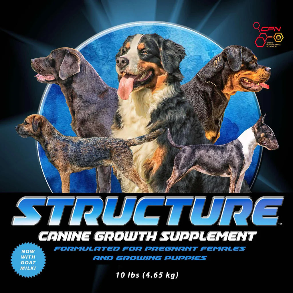 [Structure] Puppy & Mother Dog Growth with DHA