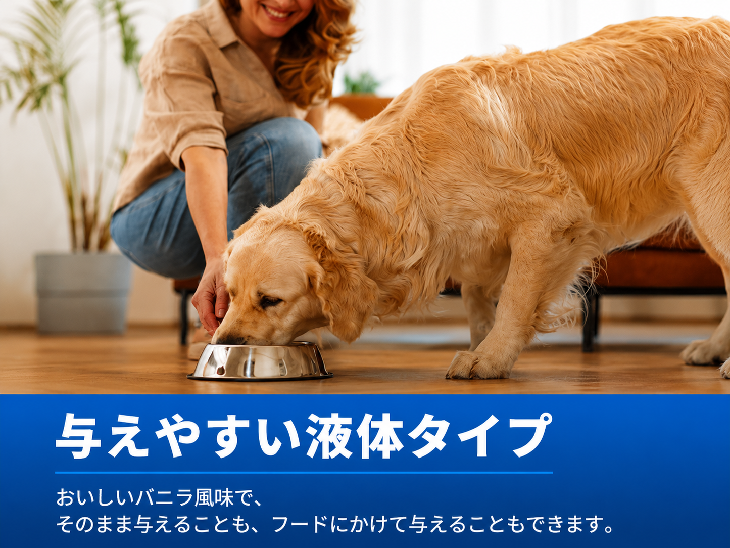 【ダイン】ハイカロリーサプリ 小