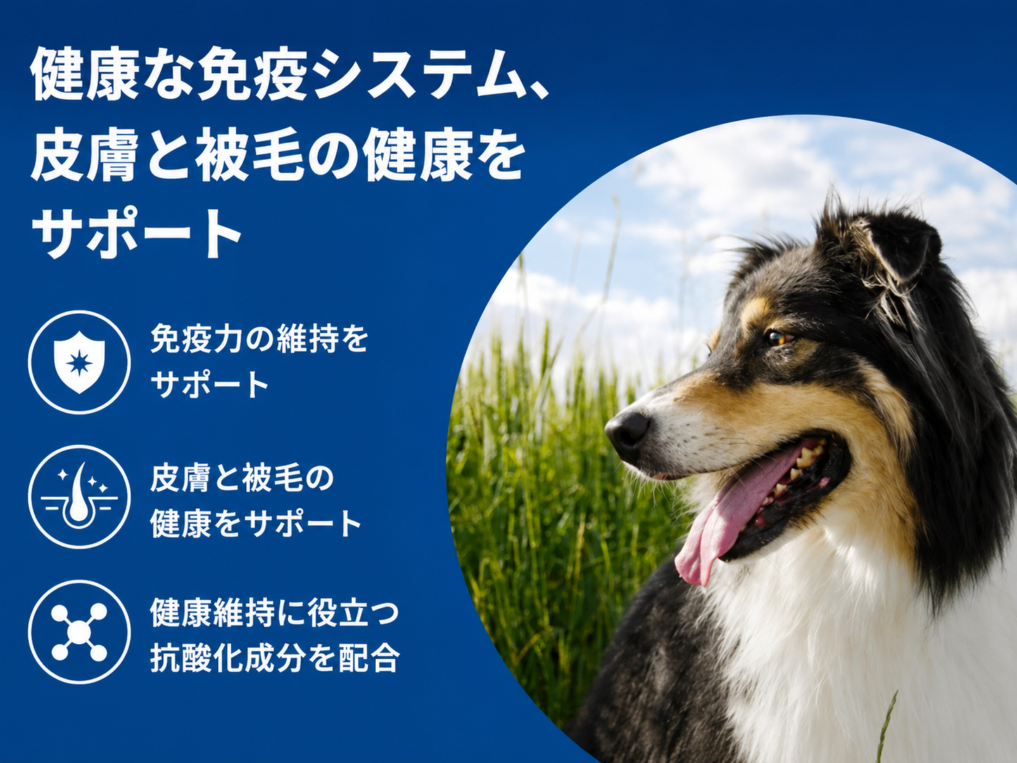 【ダイン】ハイカロリーサプリ 小