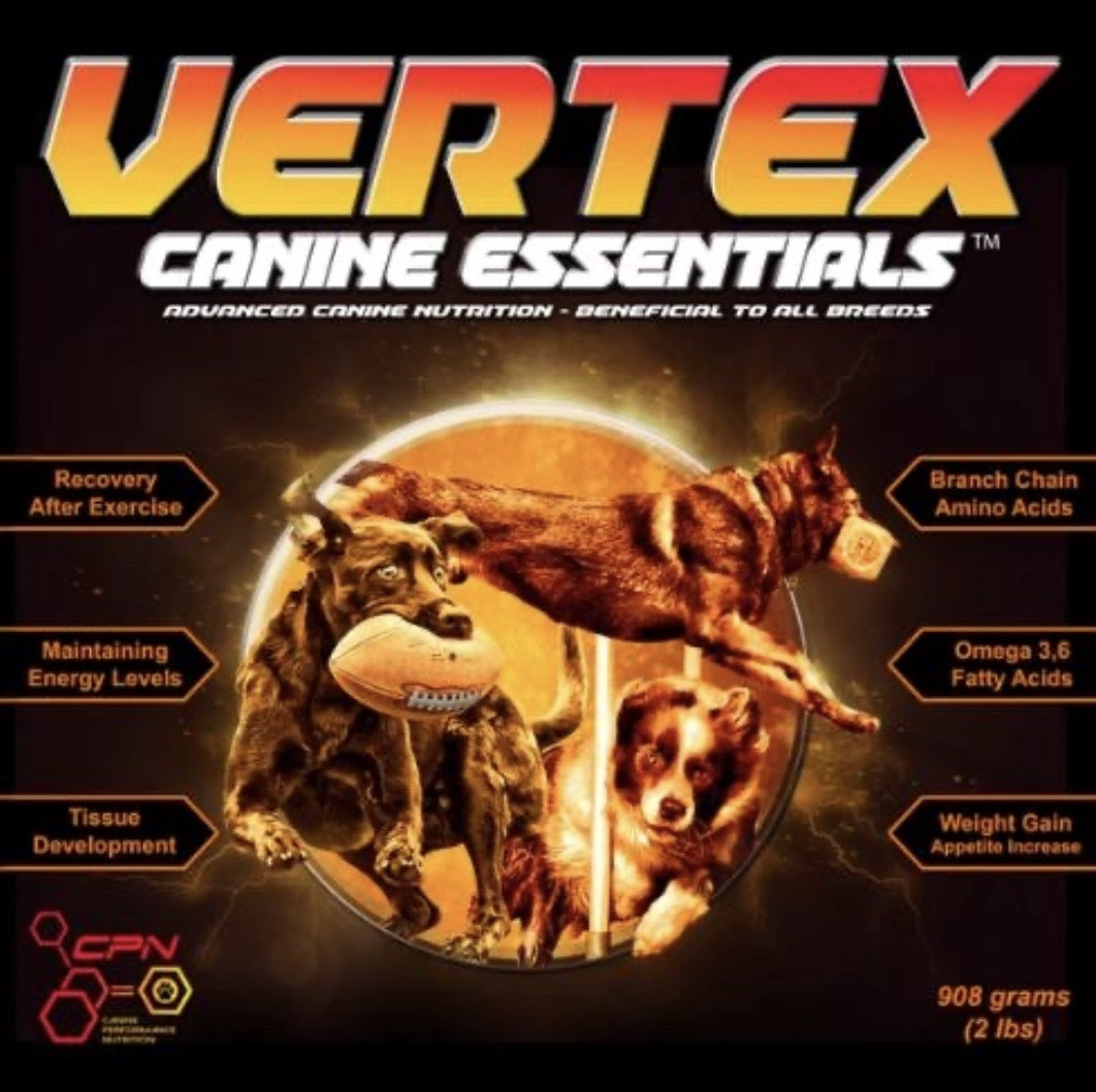 [Vertex] Muscle, Joint, Recovery